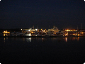 so many boats in the night